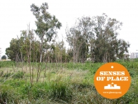 SENSES OF PLACE. Un progetto speciale