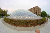 Una interessante esperienza Americana: la nuova Joe and Rika Mansueto Library di Chicago