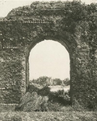 Il viaggio in Italia di Giovanni Gargiolli. Le origini del Gabinetto Fotografico Nazionale (1895-1913)