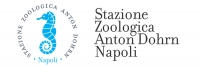 Stazione zoologica Anton Dohrn