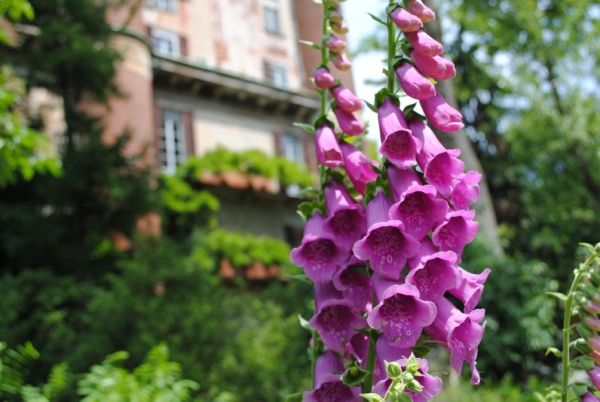 L&#039;Orto Botanico di Brera